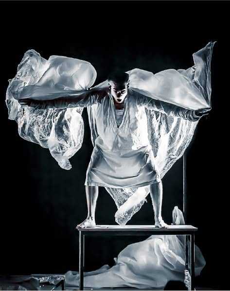 Le delirium du papillon - Typhus Bronx