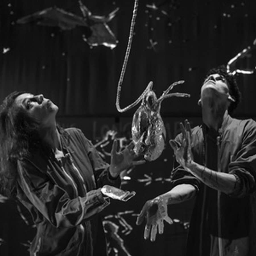 LE NÉCESSAIRE DÉSÉQUILIBRE DES CHOSES / Cie Le Anges au Plafond