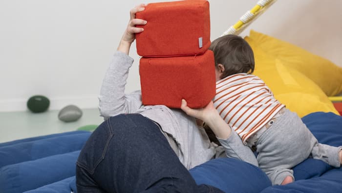 LES ZÉBOULIS • Collectif a.a.O