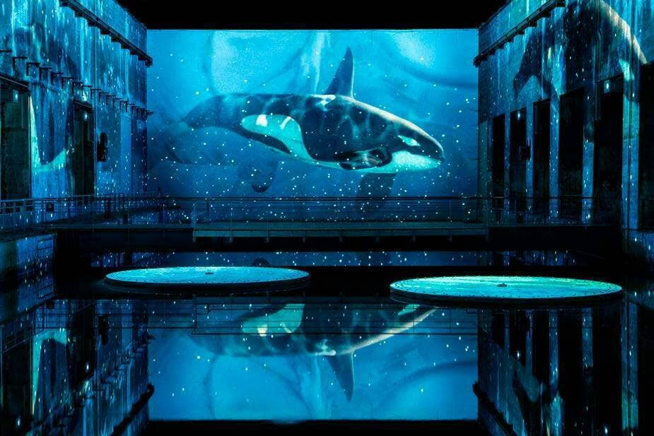 Océan, une plongée immersive