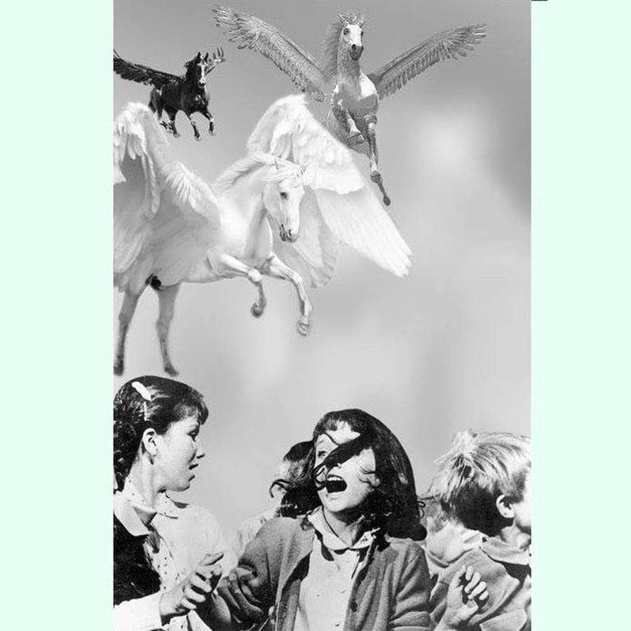 Rude Garden + Cheval Scintillantes