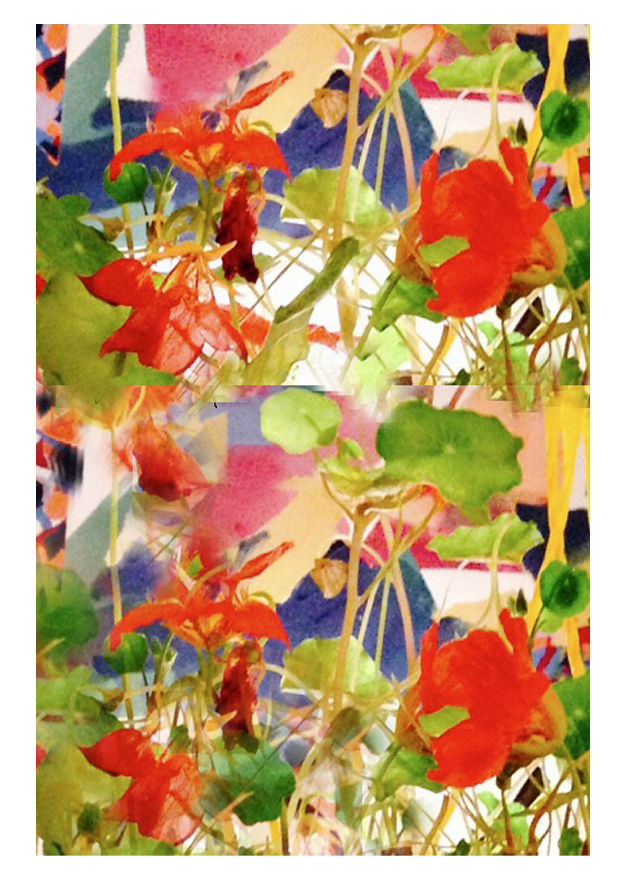 "Voir les signes nature", une exposition de Jacques Bernar