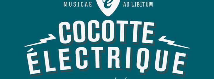 La Cocotte Electrique