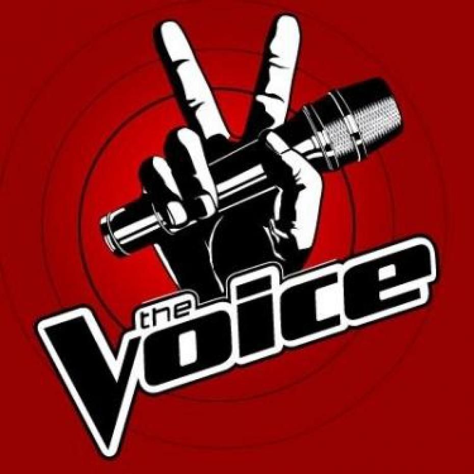 The Voice Tour 2014