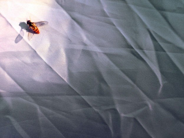 Marnitude + Little Comet-Aly