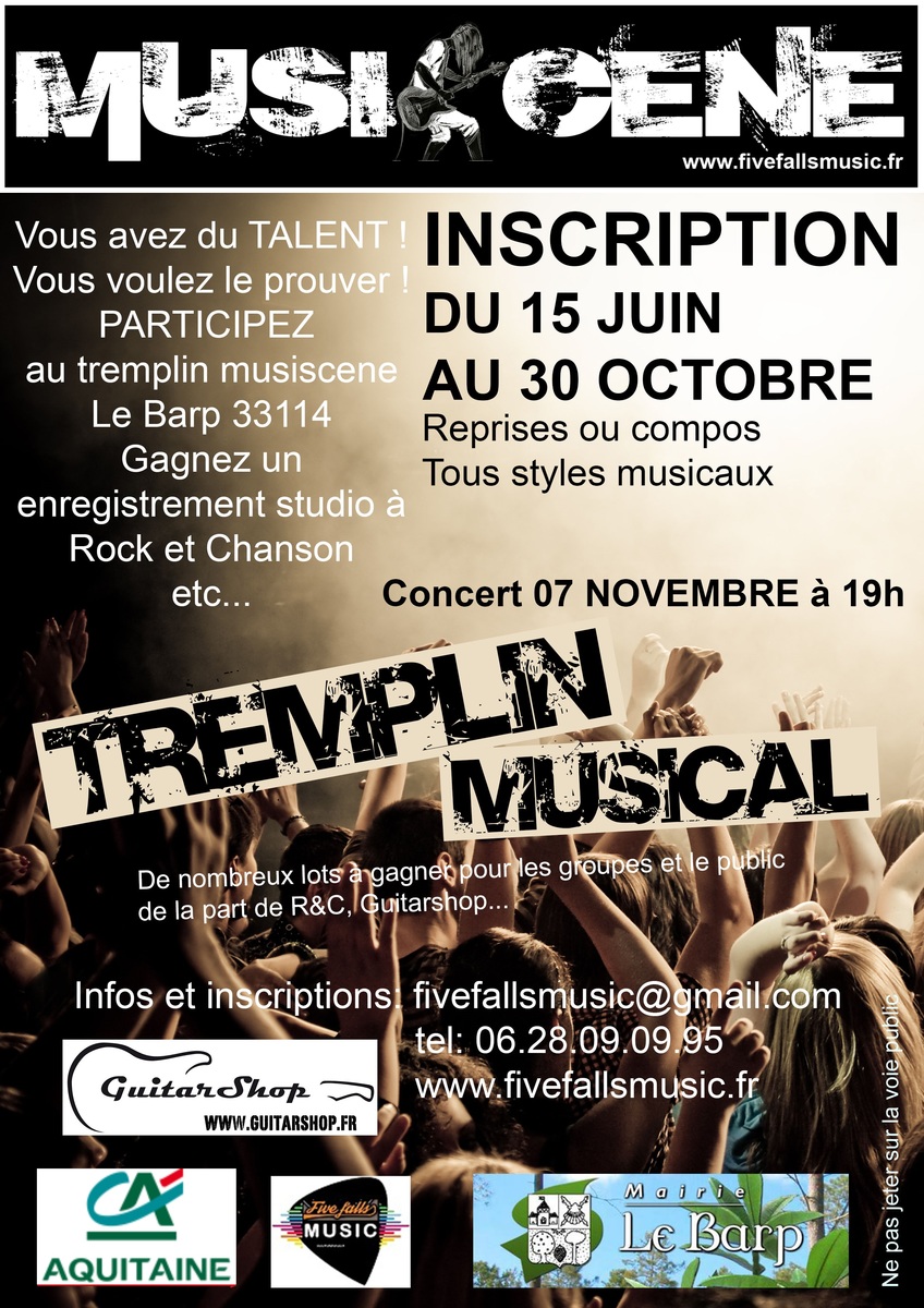 Concours Musical Val de LEyre 2015 Avec groupes de reprises 