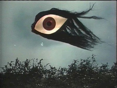 A Shrimp Case + Jeanne D4rk