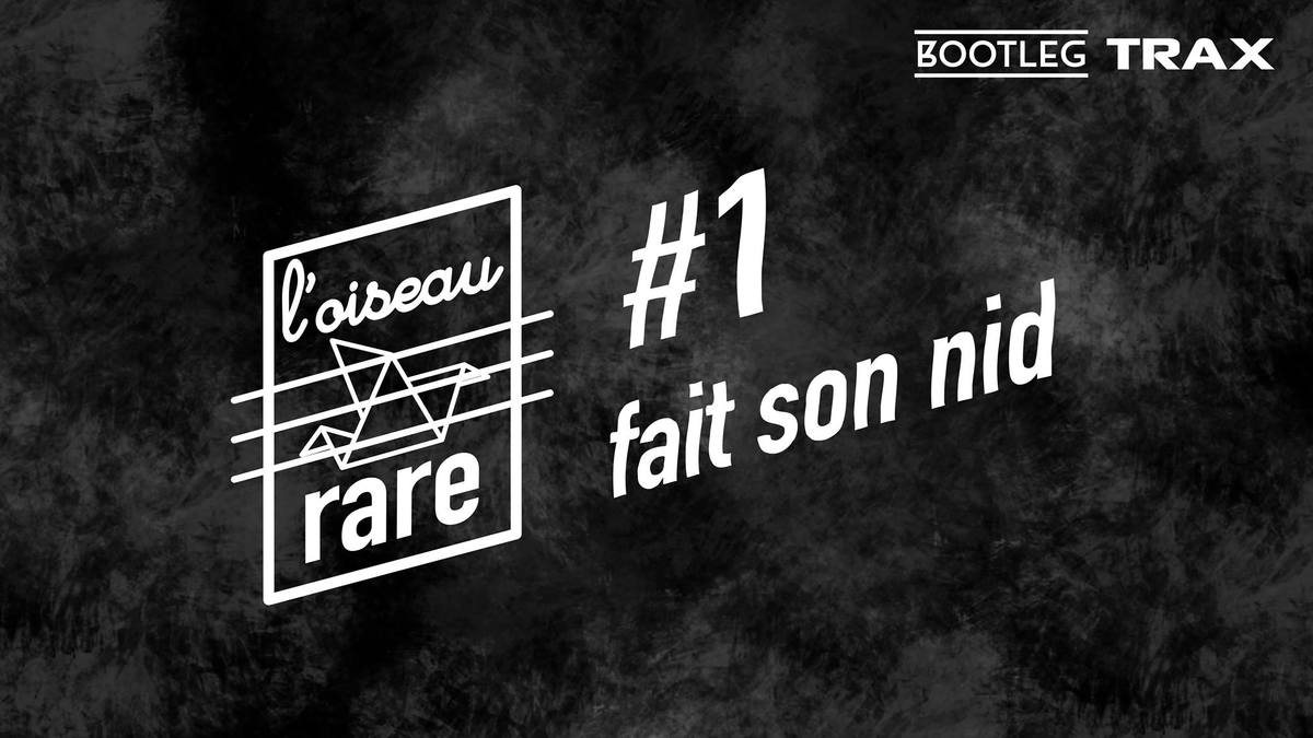 L'Oiseau Rare fait son nid  Avec Leroy washington + blumm