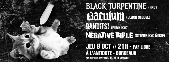 BLACK TURPENTINE + BACULUM + NEGATIVE BIFLE +  BANDITS!