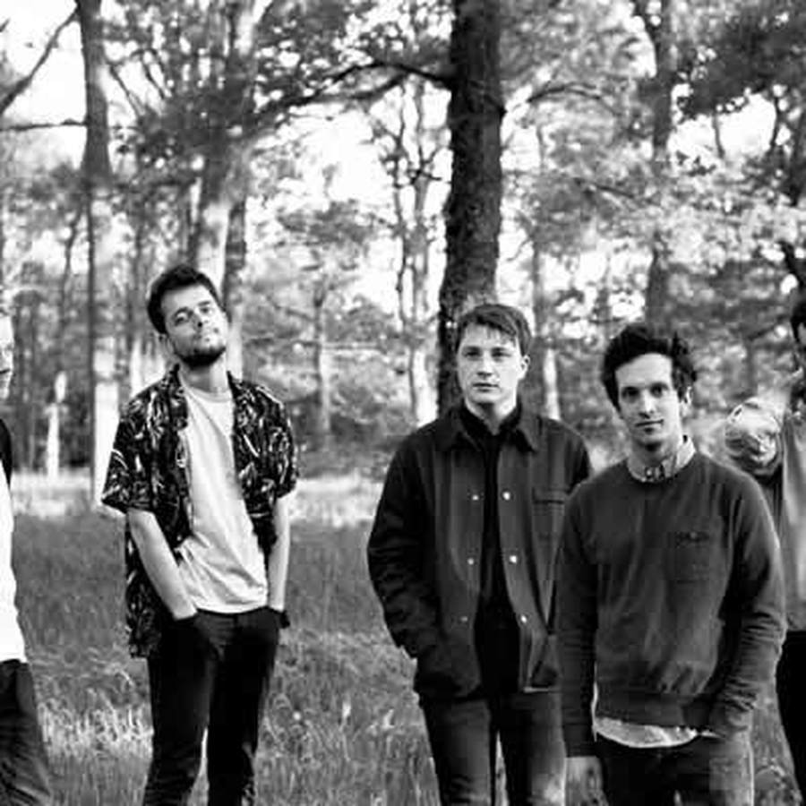 We are Match + In The Canopy