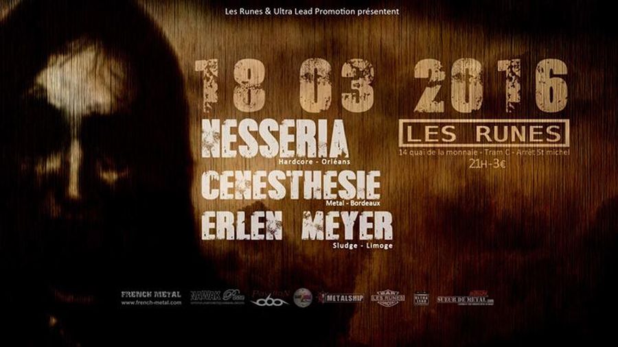 Nesseria + Cenesthesie + Erlen Meyer