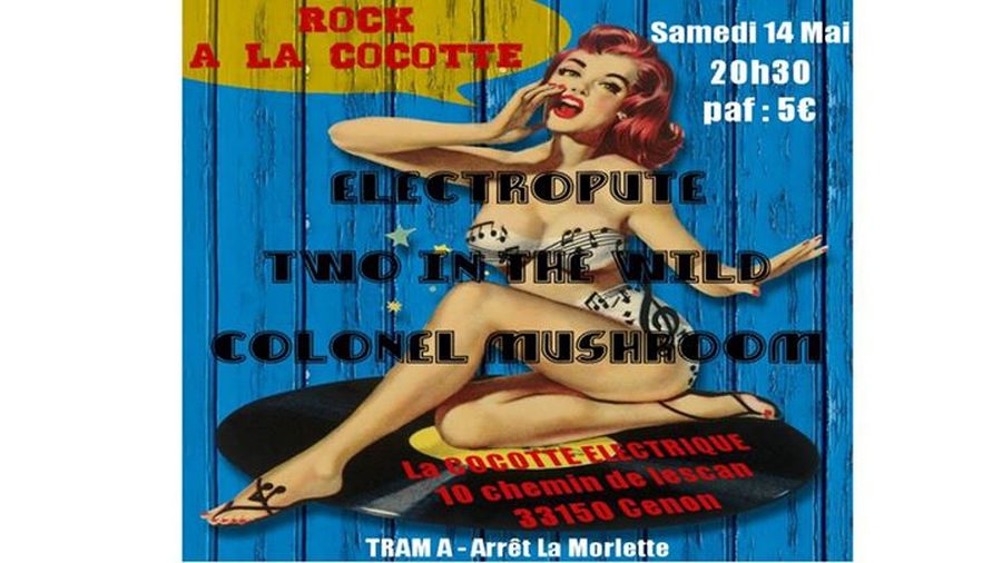 Rock à la cocotte