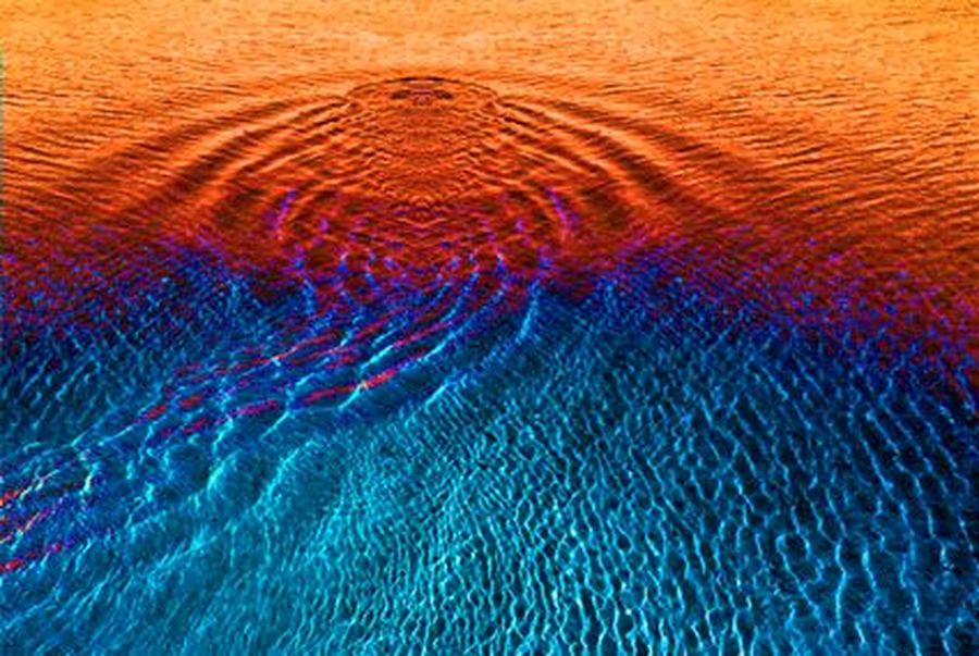 Mr Honk + la pAttE nOiRe + Rude Garden + Sobre Violence