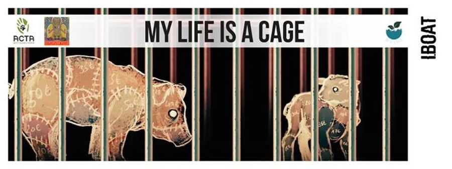 Aperoboat : My life is a cage