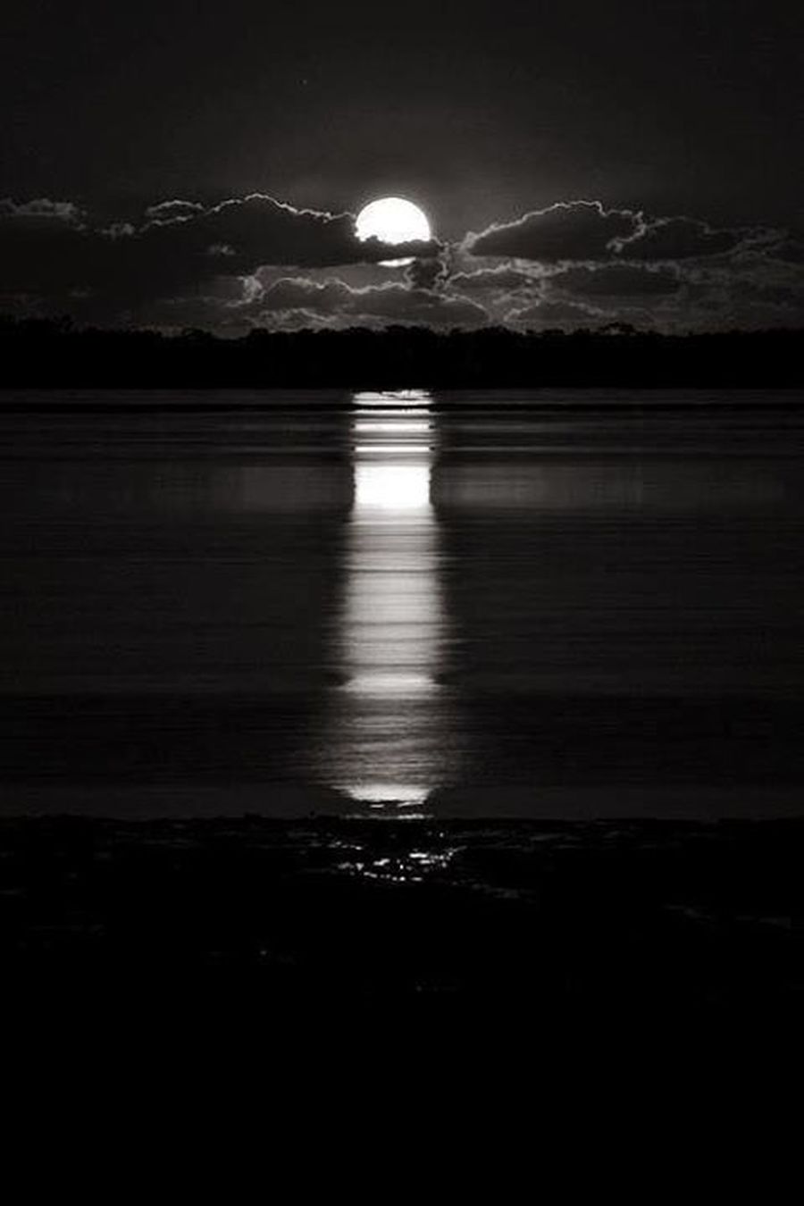 Propagande : avec JOHNSON + JAUZAS THE SHINING + BLÅCK BØW + FLVN