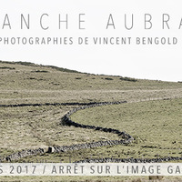 Blanche Aubrac / Exposition de Vincent Bengold