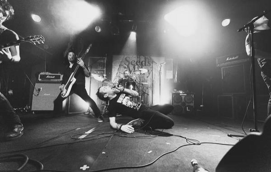 Seeds Of Mary + Endless Sundown + Scritikall