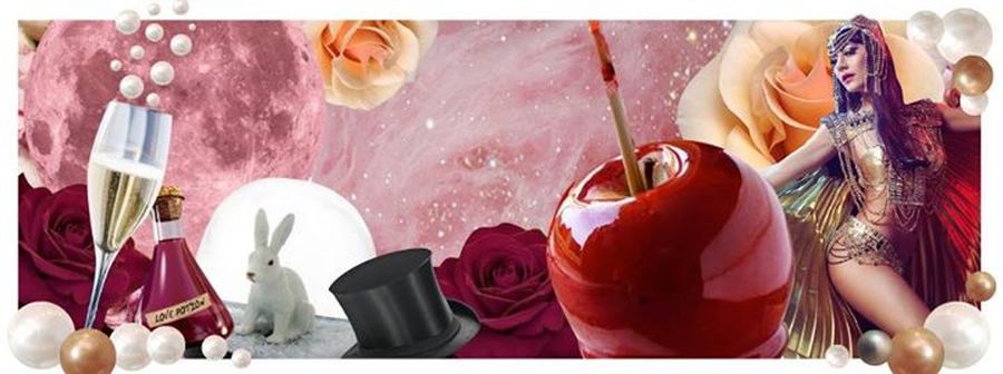 Diner-Spectacle burlesque & magie - Saint Valentin