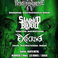 Heboïdophrenie + Stained Blood + Exocrine
