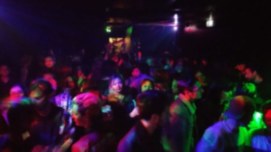 La Baie des Souillons #3 : Dawn of the shiba-inu !