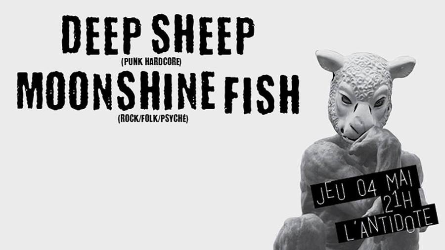 Deep Sheep + Moonshine Fish