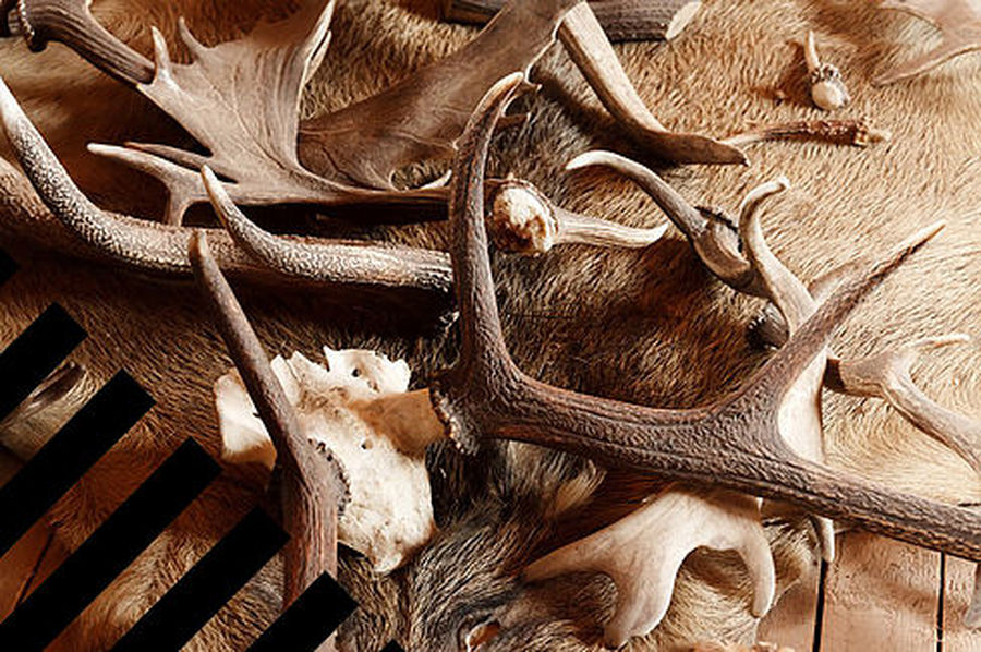 ''Bêtes'', par la Cie l'Art Hache scène - Festival de Caves de Bordeaux