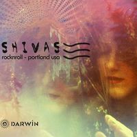 The Shivas + Bowl Skate Session
