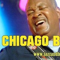 25ème NUIT DU BLUES