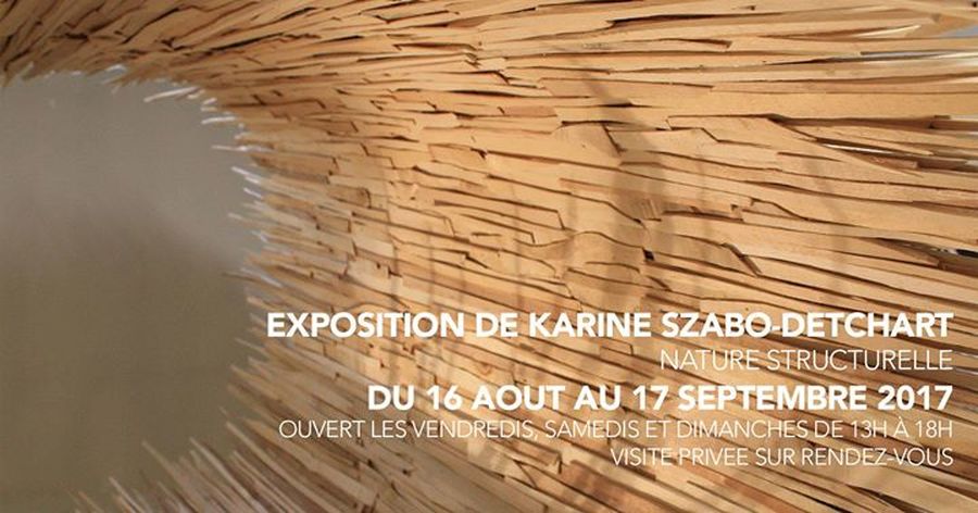 Vernissage de l'exposition de Karine Szabo-Detchart