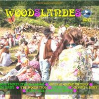 Woodslandes Acoustic Revival
