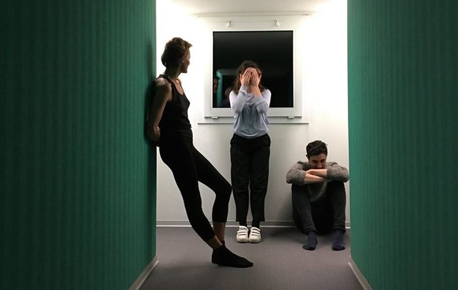 Le chat n'a que faire des souris mortes