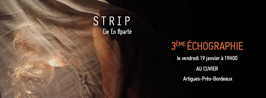 Rencontre publique : 3ème échographie de STRIP