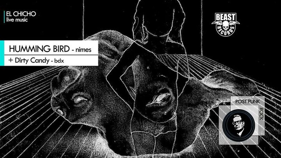 Humming Bird + Dirty Candy