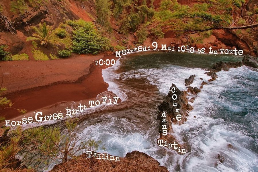 Horse Gives Birth To Fly + Comme dans Tintin + Tallìnn