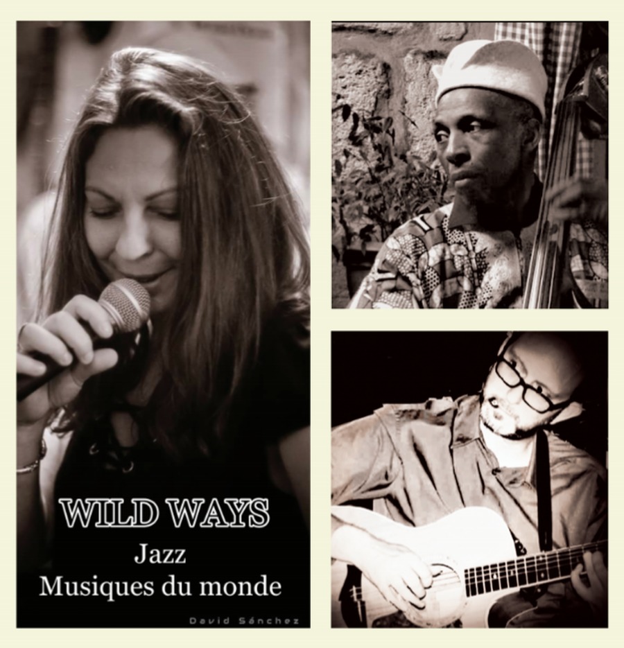 Wild Ways + Aline Alfazaya 