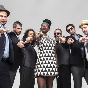 Shirley Davis & The Silverbacks