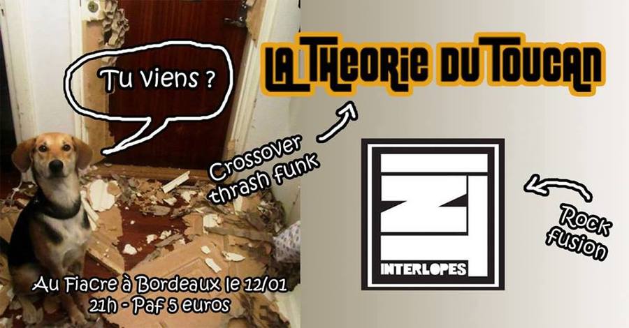 LA THEORIE DU TOUCAN + INTERLOPES