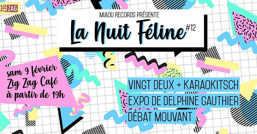 La Nuit Féline #12 / Soirée kitsch