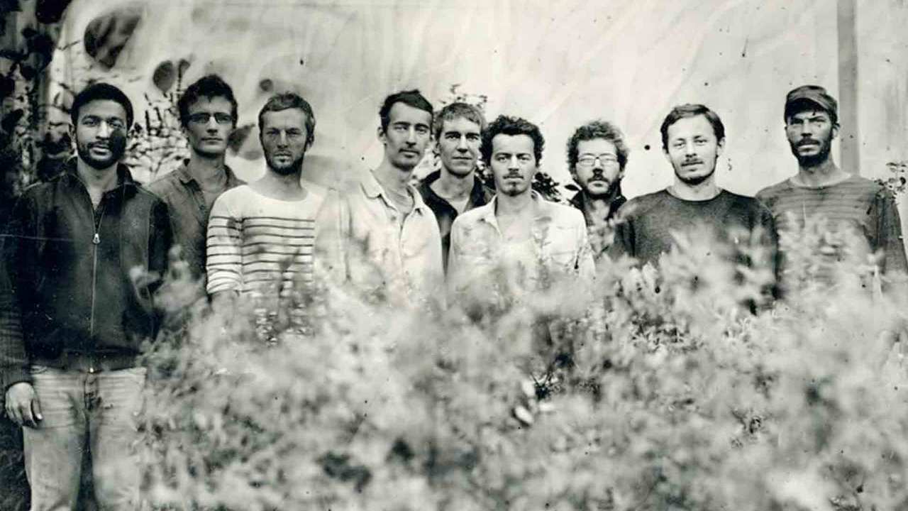 AFRO SOCIAL CLUB
