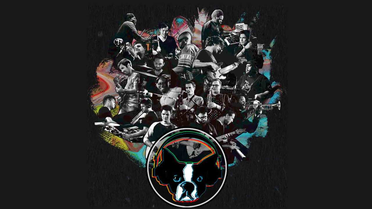 Snarky Puppy