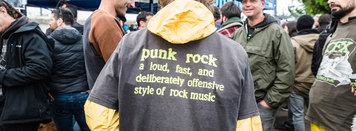 Punk in Drublic Festival