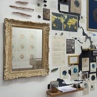 Exposition Éclipses
