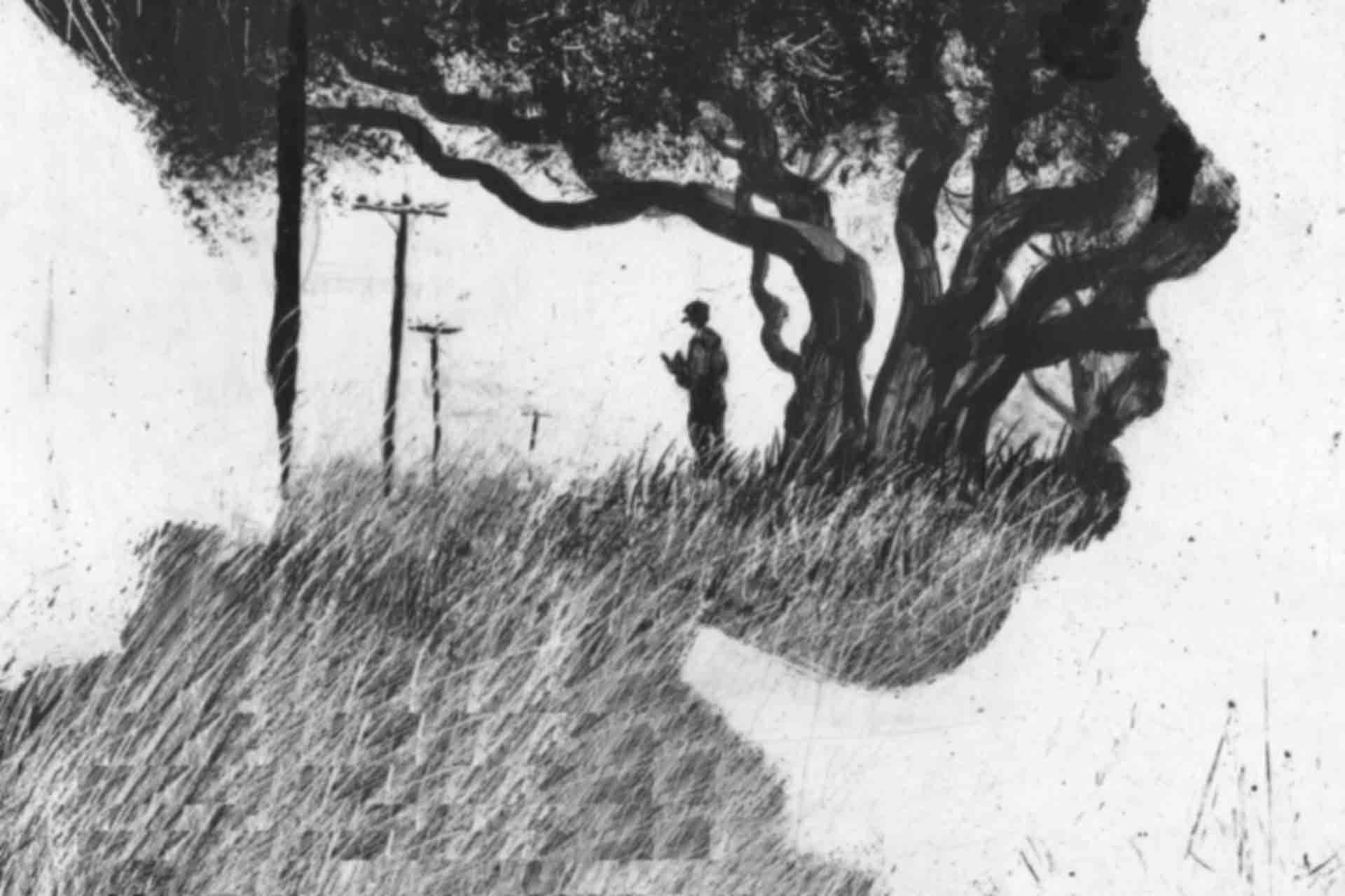 Black Boy, d'après Richard Wright