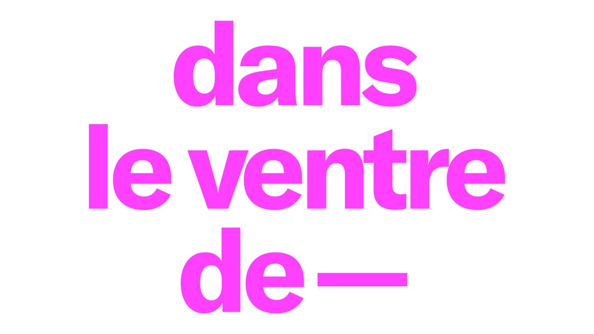 DANS LE VENTRE DE — SOFIA COPPOLA  ~ Marie-Antoinette