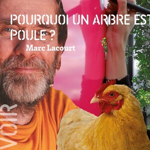 [ POUCE ! ] Pourquoi un arbre est une poule ? - Marc Lacourt & Delphine Perret