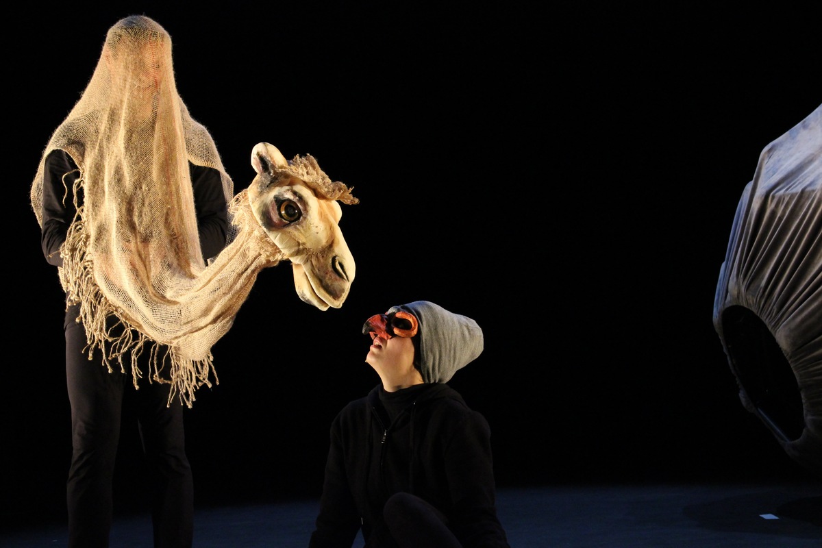 Sauvage - Groupe Anamorphose & Laurent Rogero