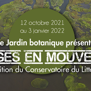 Rivages en mouvement
