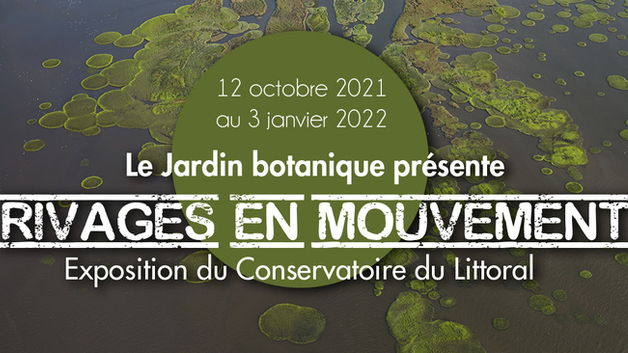 Rivages en mouvement