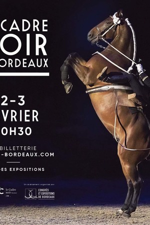 Le Cadre Noir au Jumping International de Bordeaux 