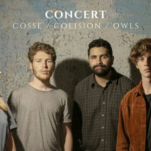 Cosse + Colision + Owls